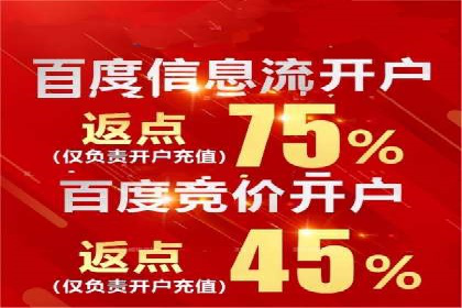 百度推广在电商行业的应用案例